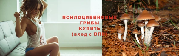 Альфа ПВП Бронницы