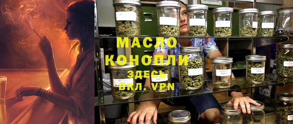 МДПВ Бородино