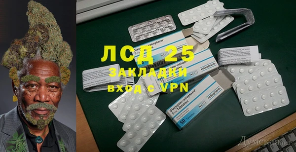 экстази Богданович